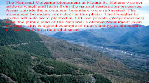 dresser after refinishing